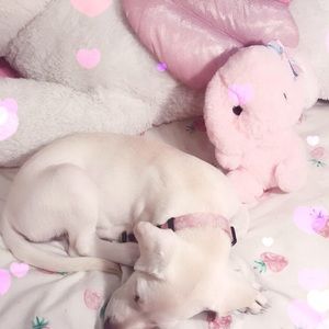 Meet your Posher, Brittany